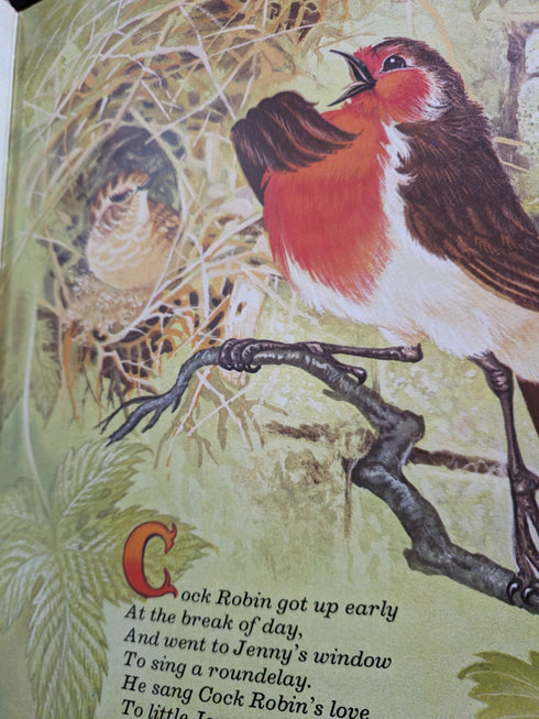 The Magic of Rhymes - compiled by Lucy Kincaid, Illustrations by Eric Kincaid